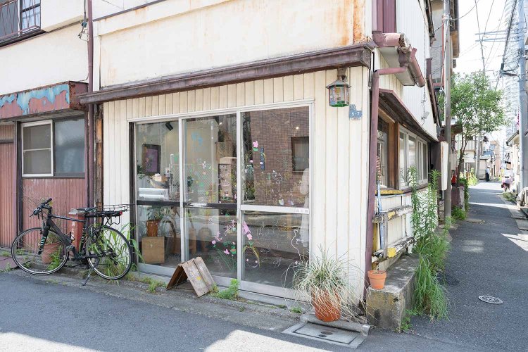 【散歩の達人】NOT-FLOWER_2