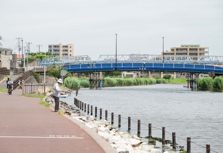 平井橋が架かる旧中川水辺公園。ダボハゼが釣れるとか。
