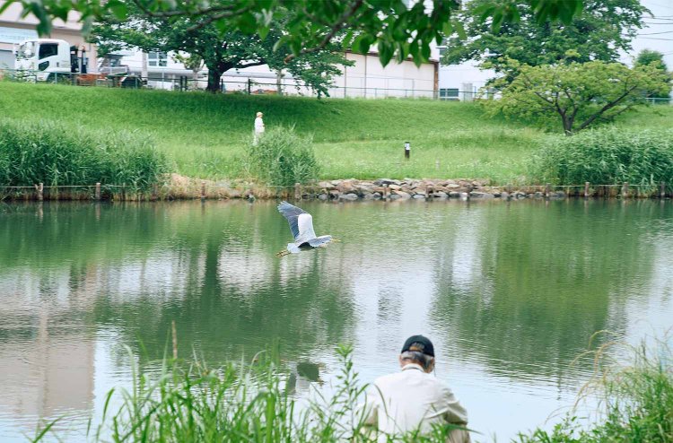 長閑（のどか）な旧中川沿いの遊歩道。