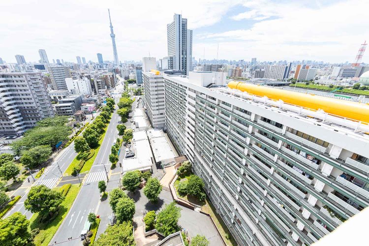 4号棟最上部にある監視塔からの風景。防災拠点となってから左下の墨堤通りも拡幅された。