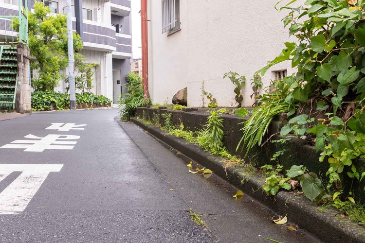 【散歩の達人】すみだの暗渠_6