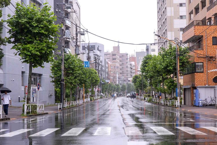 【散歩の達人】すみだの暗渠_8_1