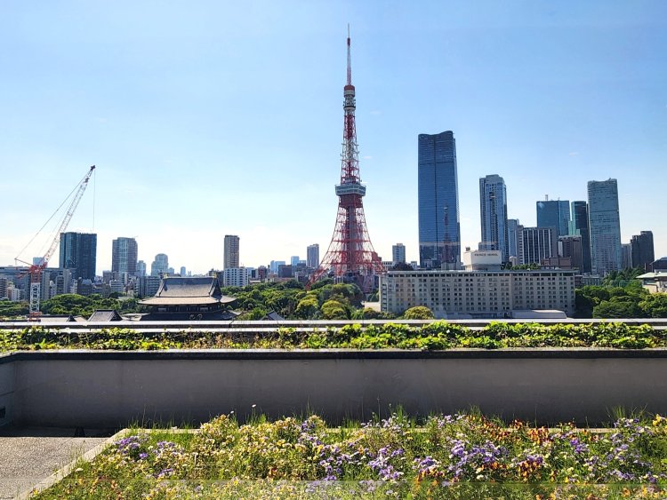 窓際の席からは東京タワーのてっぺんまで見える。左手前は増上寺。