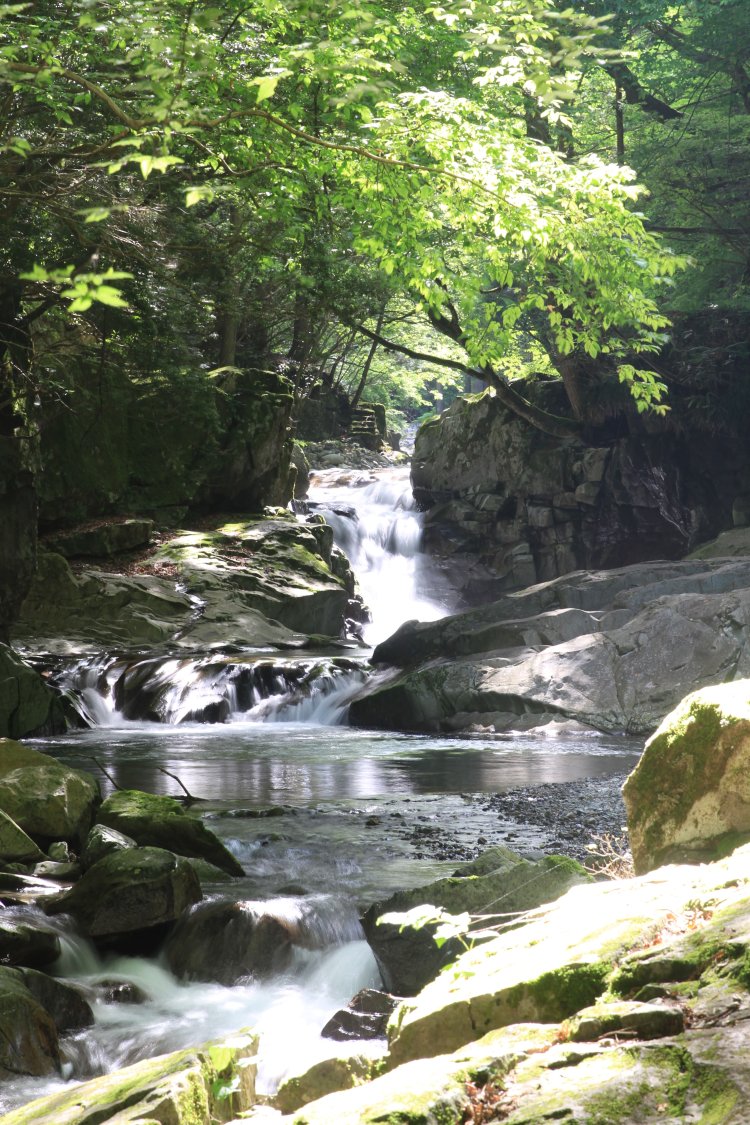 河鹿（かじか）の滝は、山上川で唯一間近に滝が見られる場所。名水百選の一つ、ごろごろ水から東へ約100mの沢沿いにある。
