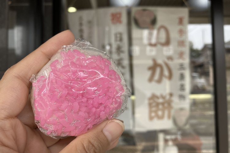 三条市出身の友人が知らなかった「いが餅」。もしや知る人ぞ知る一品なのかも？