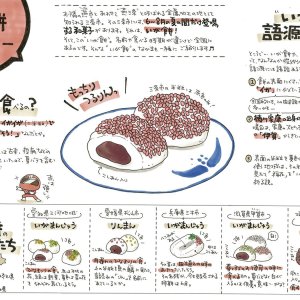 夏にしか食べられない「いが餅」は新潟県三条市の郷土菓子。“いが”なかまは全国各地に！