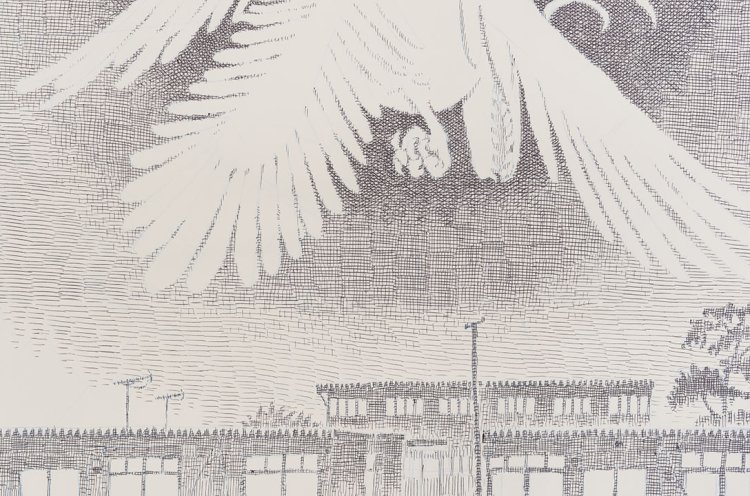 《日の鳥》2巻表紙イラスト 2016年 (C)こうの史代／日本文芸社。