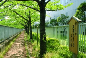 芭蕉俳句の散歩道