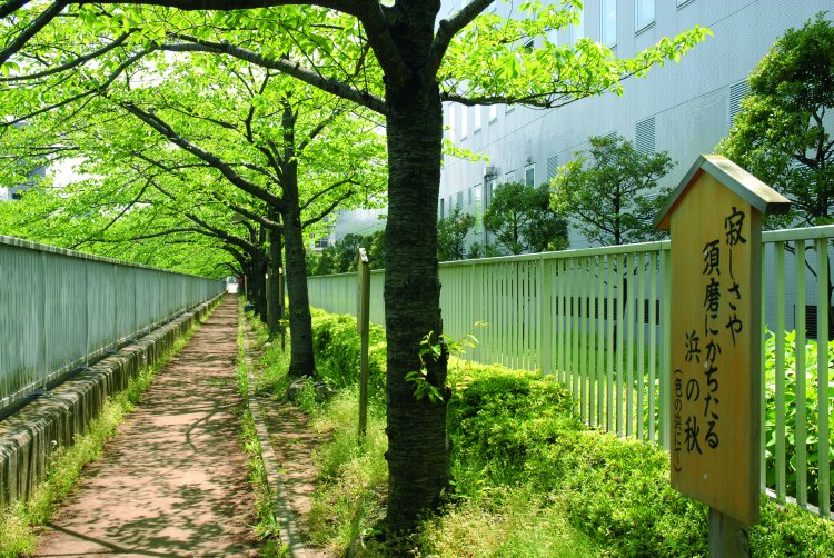 芭蕉俳句の散歩道