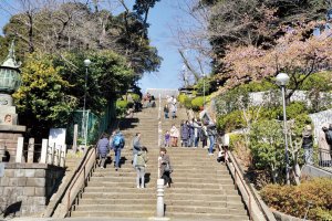 150_池上本門寺此経難持坂