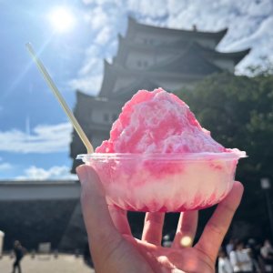 「氷室」の役割とは？ 五稜郭が日本中にかき氷ブームをもたらした？ 暑い夏、日本の涼の歴史について語る！