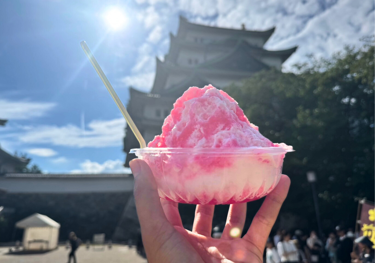 表紙戦国がたり