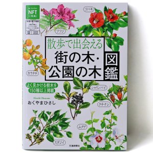 【書評／サンポマスター本】『散歩で出会える 街の木・公園の木図鑑』おくやまひさし 著 ほか4冊