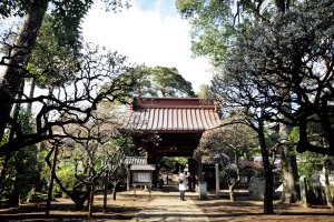 5_三宝寺 (1)