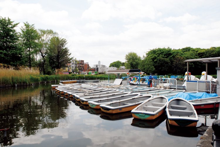手漕ぎと足踏みスワン型がある石神井池のボート。