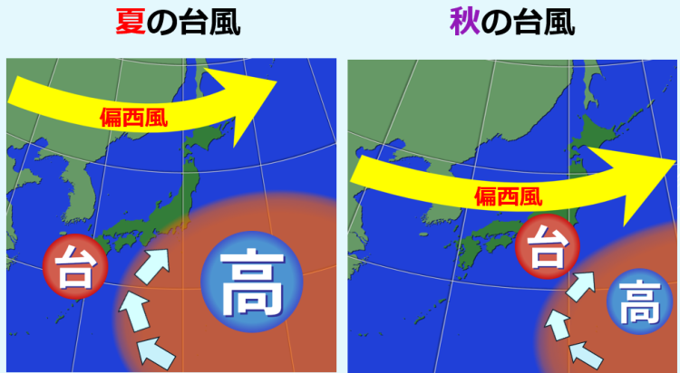 日本付近の気圧配置や偏西風の変化によって、台風の進路の傾向が変わる（画像＝片山美紀）。