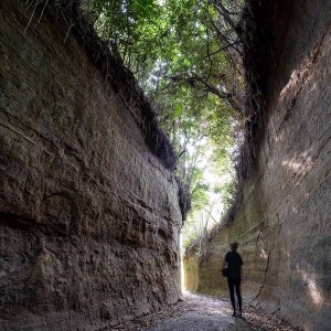 切り通しから青き海原へ。千葉県大網白里市の丘陵部、田園部、海岸部の多彩な魅力【徒然リトルジャーニー】