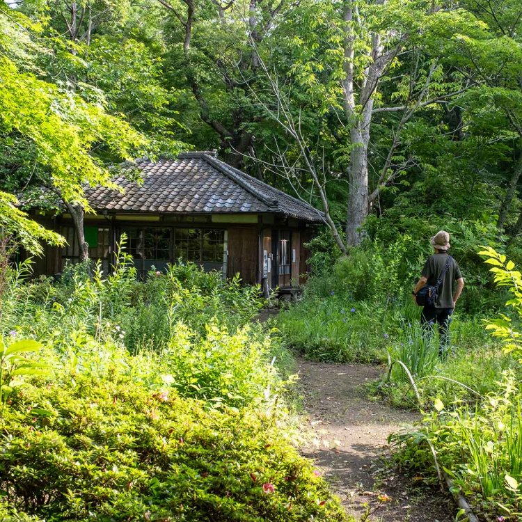 農民有志より寄贈された住居を中心に散策路が整備されている。