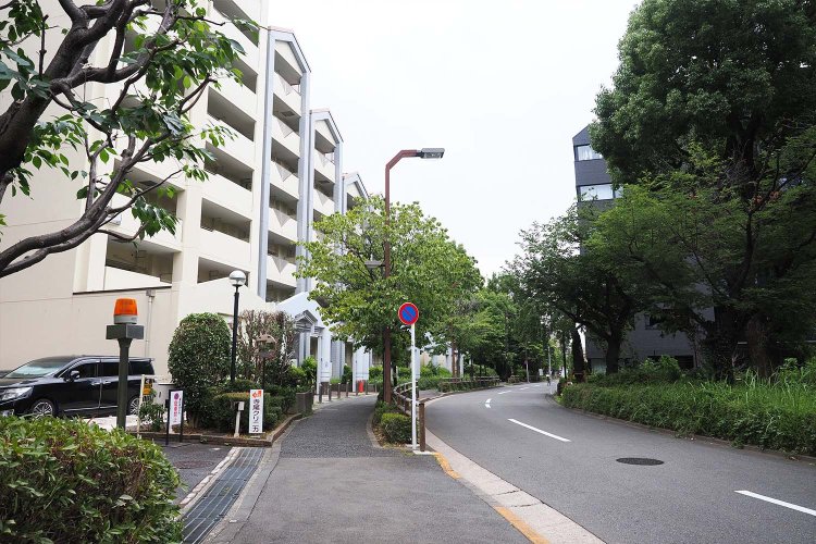 徐々にマンションと緑が増えだした。