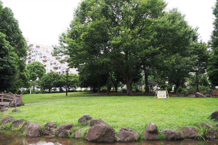 緑いっぱいの広い公園にたどり着いた！　バスケットコートまであるぞ。