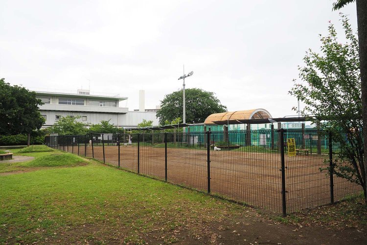 立派なドッグラン！　これは犬飼いにはうれしい。