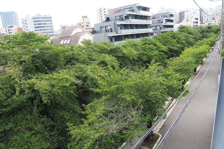 公園の隣の神田川は春になると桜がとてもきれいだそうで、こちらも犬散歩コースにピッタリ。なお公園の下の落合水再生センターで処理された水は神田川に放流される。