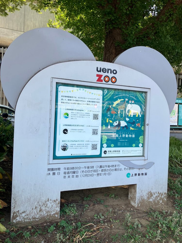 遠目に見ると何かの動物の顔かと思いきや、近くに来ると尻尾があるので、お尻とわかる。