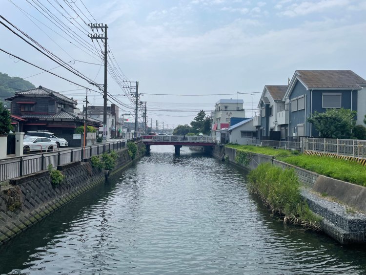 田越川、河口に近づくにつれ海の気配が濃く感じられる。