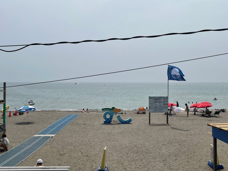 「逗子」でも「ZUSHI」でもなく「ずし」。