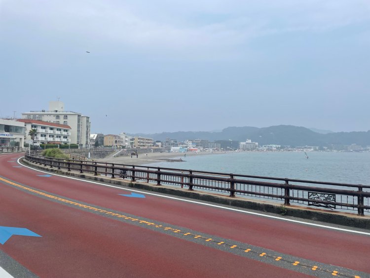国道134号から逗子海岸を見る。