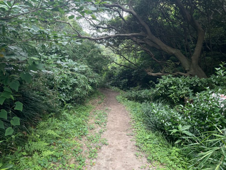 公園に行きたかっただけなのに、その1。