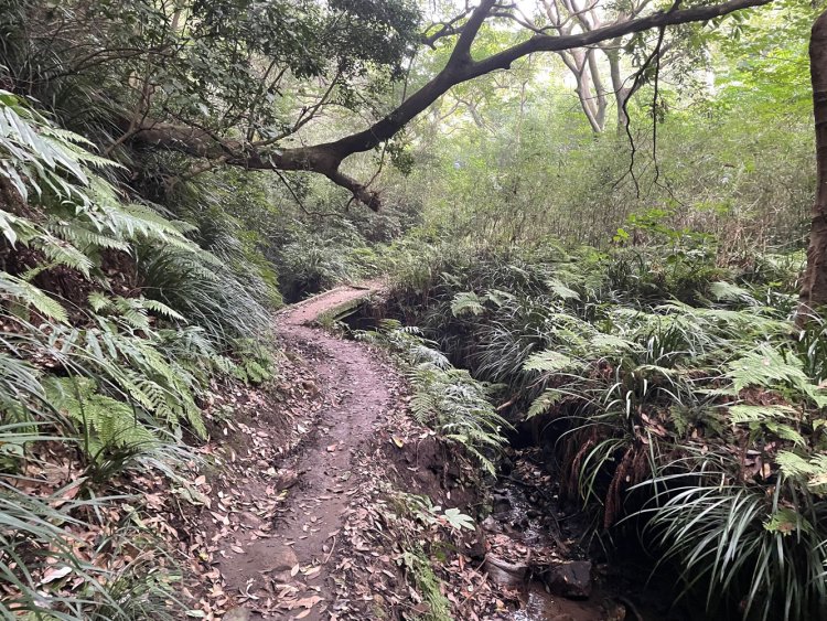 公園に行きたかっただけなのに、その2。