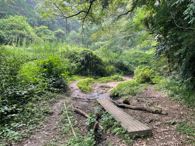 公園に行きたかっただけなのに、その3。