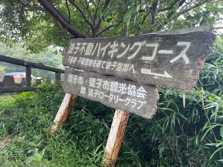 想像していたハイキングと違う。