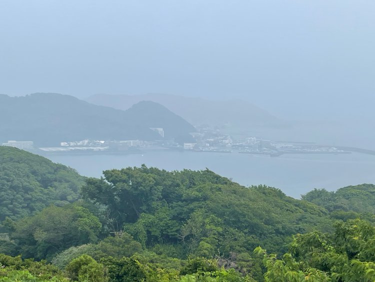 公園から葉山方面を眺める。