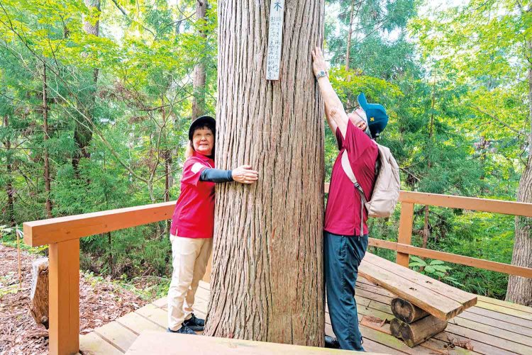 樹木に抱きつくと精神的に落ち着き、リラックス効果も。