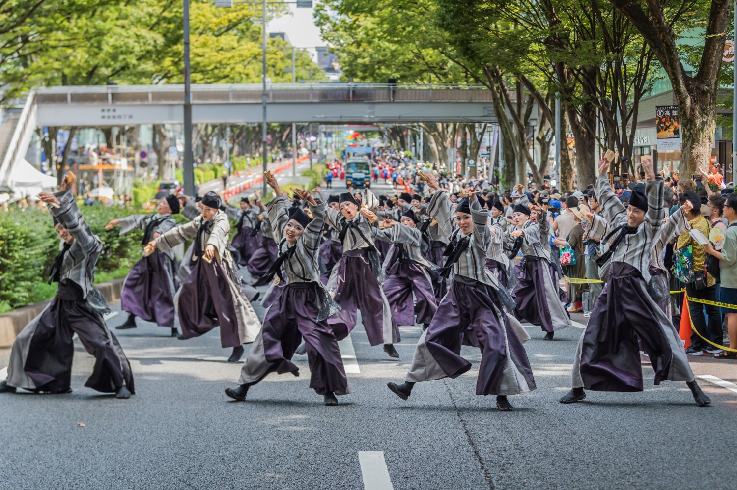 表参道アヴェニュー_スーパーよさこい_1