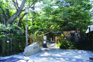 牧野記念庭園_イメージ