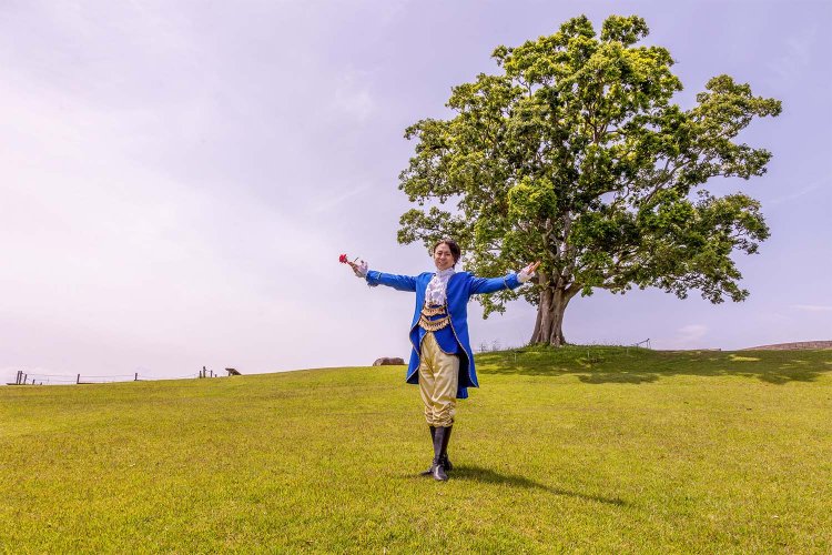 吾妻山公園 展望台の芝生広場はケヤキの大樹がシンボリックだ。