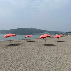 夏の逗子海岸へ。海と山と川に囲まれた文豪ゆかりの別荘地で出会ったものとは？【「水と歩く」を歩く】