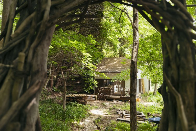食堂ガラパゴス