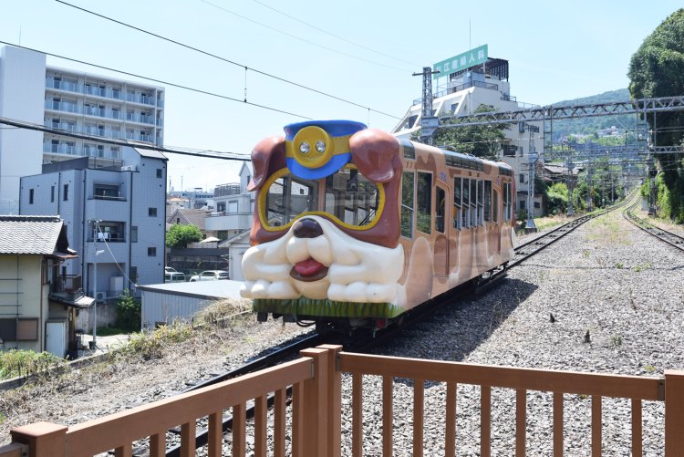 「ブル」が近づいてくるだけでテンションが上がる。