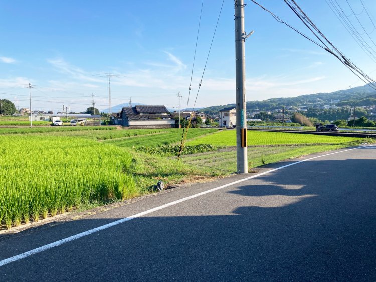 揺れる稲を眺めて駅へ引き返す。