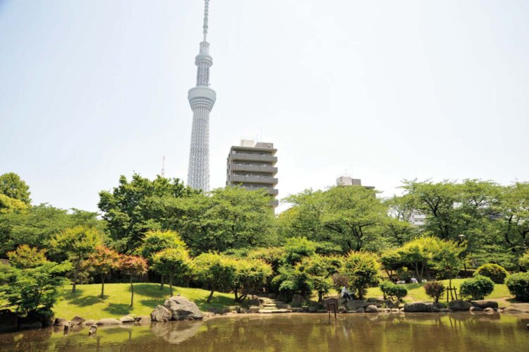 隅田公園