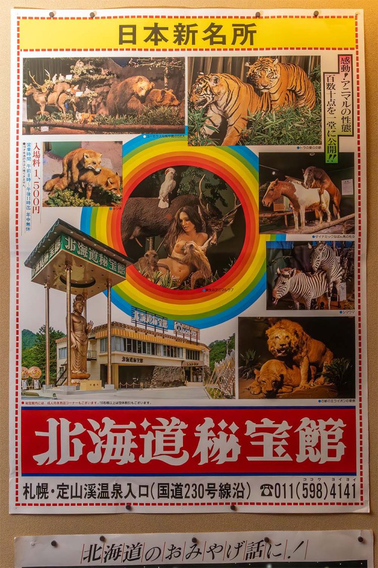 8GP31_3J0A0982-蠑ｷ蛹・NR