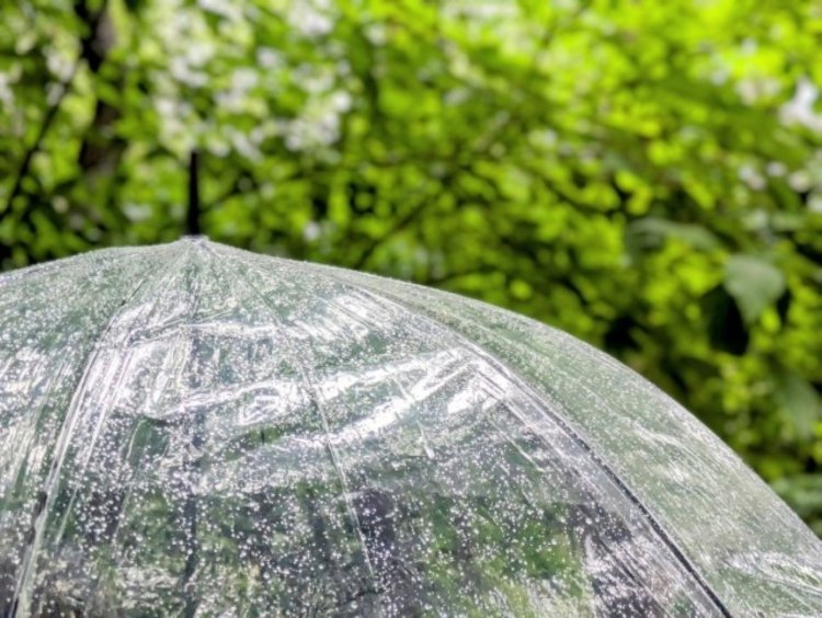 画像＝写真AC。