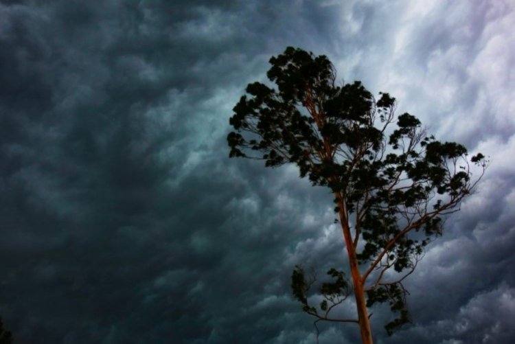 画像＝写真AC。