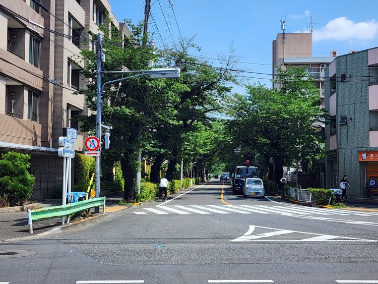 五日市街道から先の中央通りは桜並木が続く。開花時期には見事な桜のトンネルとなるそう。