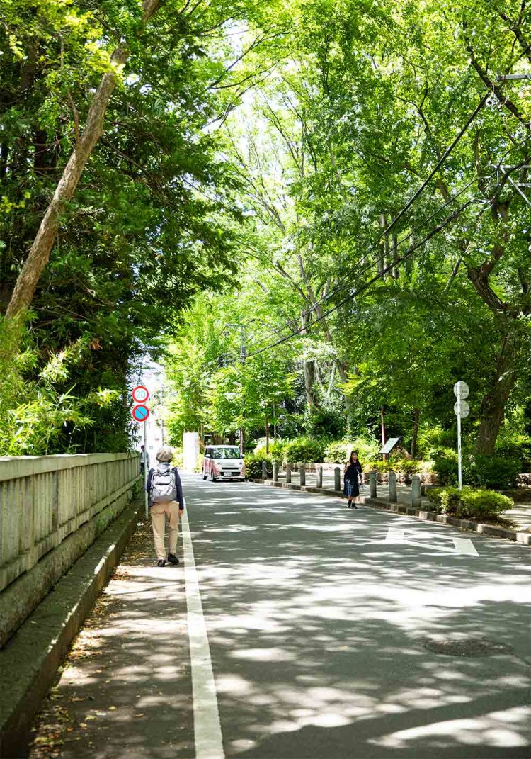 諏訪の森公園付近は木漏れ日が心地いい。