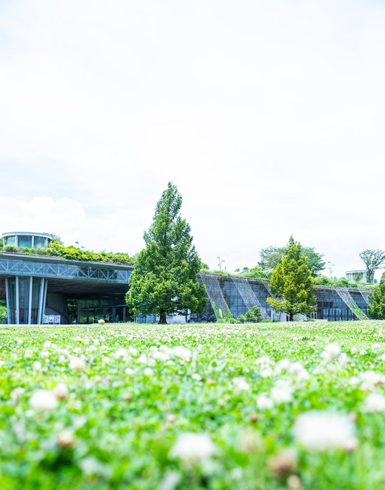 【散歩の達人】立川さんぽ_6